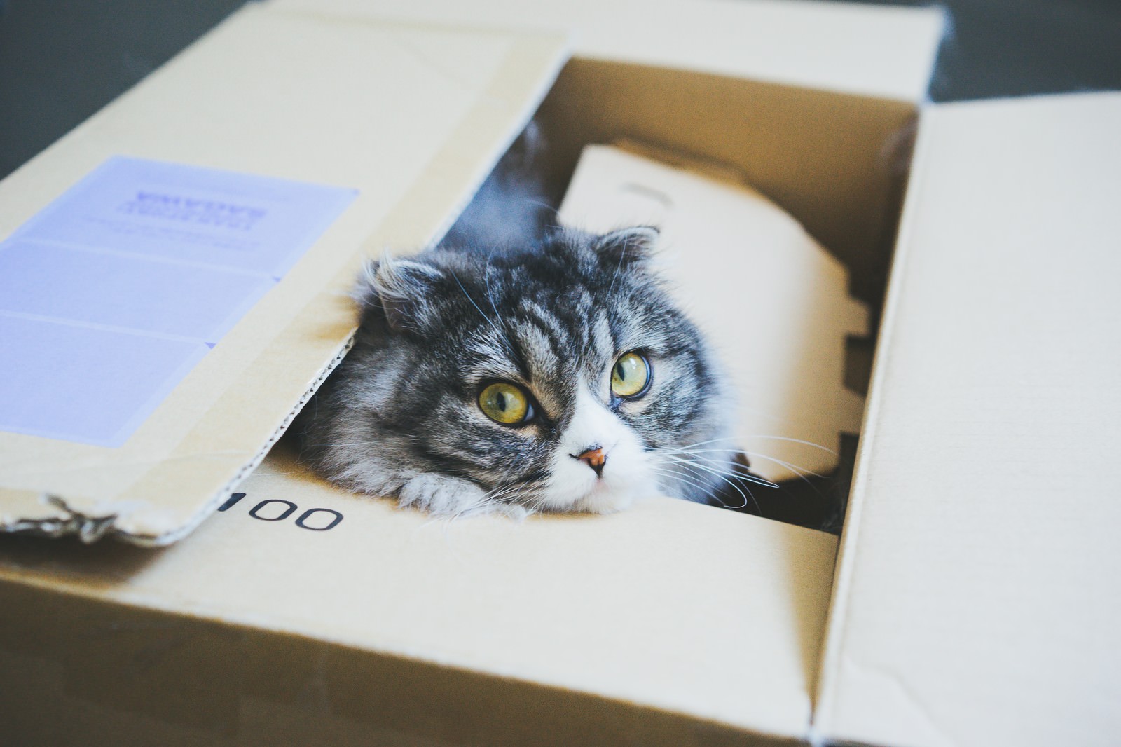 引っ越し時の不用品はどうするべき？捨てるだけじゃない！お得になるサービスを活用してみよう！